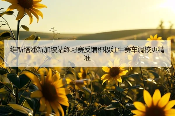 维斯塔潘新加坡站练习赛反馈积极红牛赛车调校更精准（BOYUSPORTS）